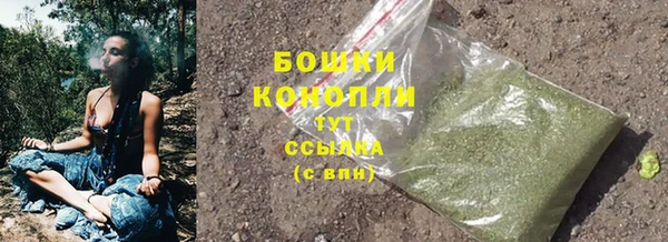 крисы Волоколамск