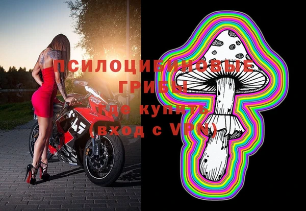 хмурый Дрезна