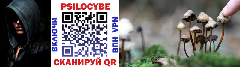 Галлюциногенные грибы Magic Shrooms Калачинск